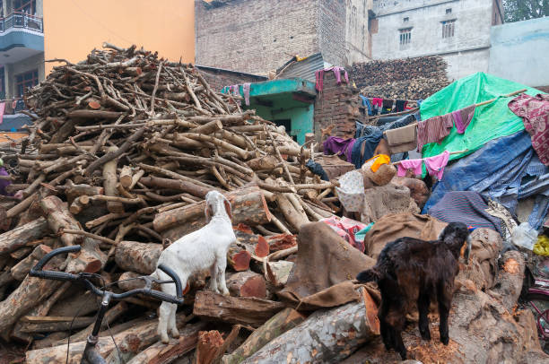 wäscherei sie zum trocknen auf der holz für feuerbestattung.   varanasi - india ganges river goat steps stock-fotos und bilder