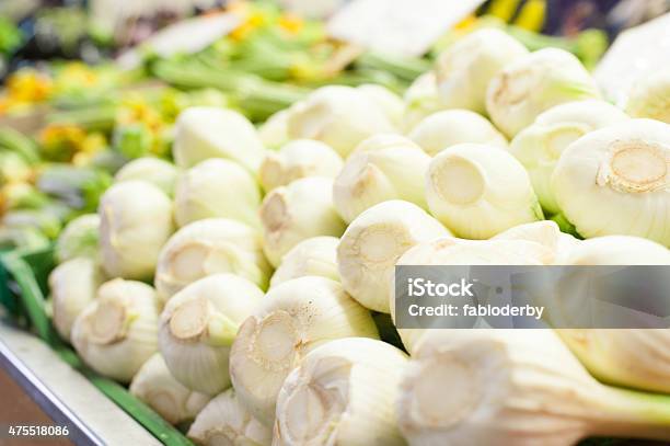 White Raw And Fresh Fennel Bulbs Heap Stock Photo - Download Image Now - 2015, Close-up, Colors