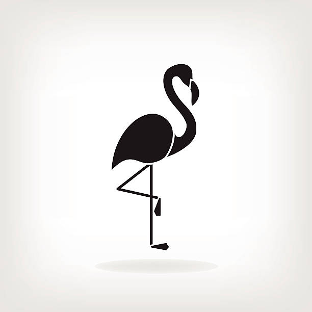 illustrations, cliparts, dessins animés et icônes de modèle stylisé de flamingo - flamingo bird isolated animal leg
