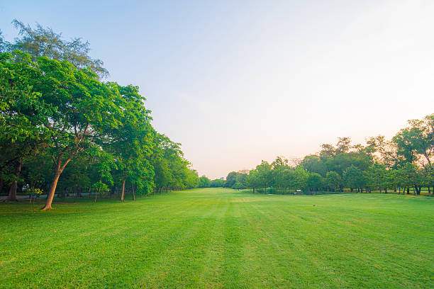 istock Green lawn in city park 475519288