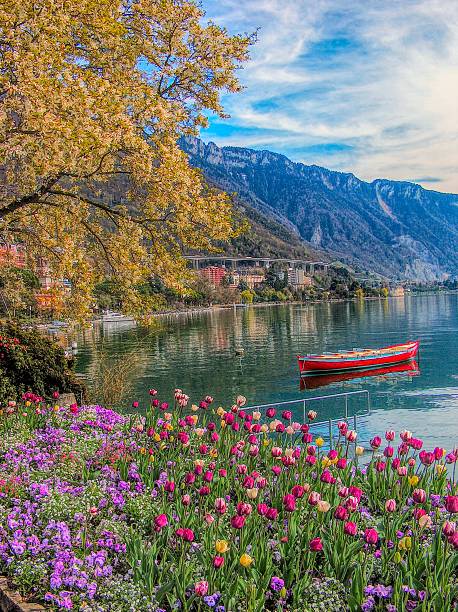 istock multicolored spring flowers on Lake Geneva (Leman) 475519414