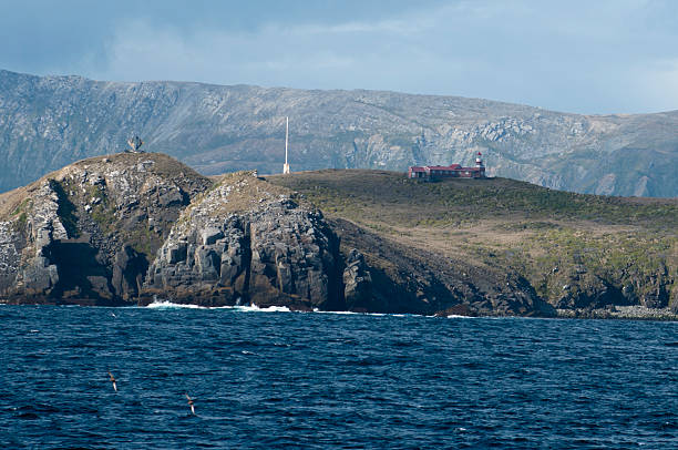 Cape Horn Lighthouse and Albatross Monument The unmanned light station is the southernmost point of Cape Horn and is administered by the Chilean Navy.  Ships sailing under non-Chilean flags are ordinarily required to stand off in international waters, but thanks to some canny negotiating by our cruise ship's Chilean ornithologist, we were given permission to make a closer approach, which delighted the many camera buffs among both passengers and crew.  Cape Horn is where the Atlantic and Pacific Oceans meet and lies on the north edge of the Drake Passage. albatross photos stock pictures, royalty-free photos & images