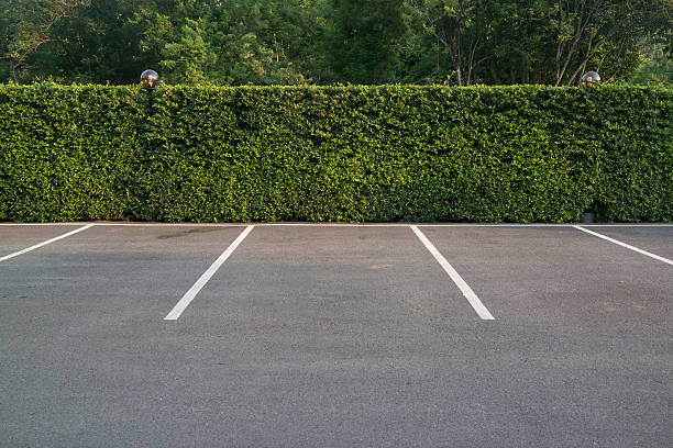 Empty parking lot with foliage wall in the background Empty asphalt car park with green foliage wall and trees in the background. parking lot photos stock pictures, royalty-free photos & images