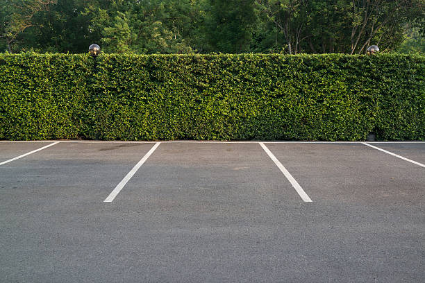 vazio estacionamento com vegetação parede ao fundo - parking - fotografias e filmes do acervo