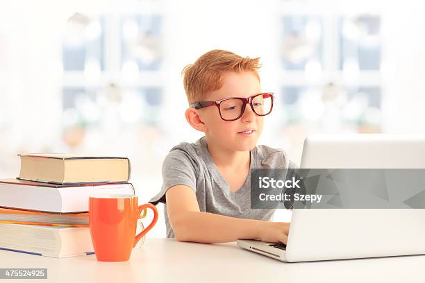 Elementary School Student Looking At Computer Stock Photo - Download Image Now - Book, Cheerful, Child