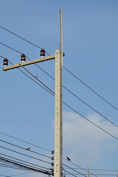 istock birds hanging on the electricity wire 475526076
