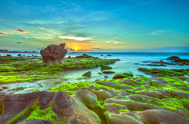 istock Sunrise on the beach moss Co Thach 475526766