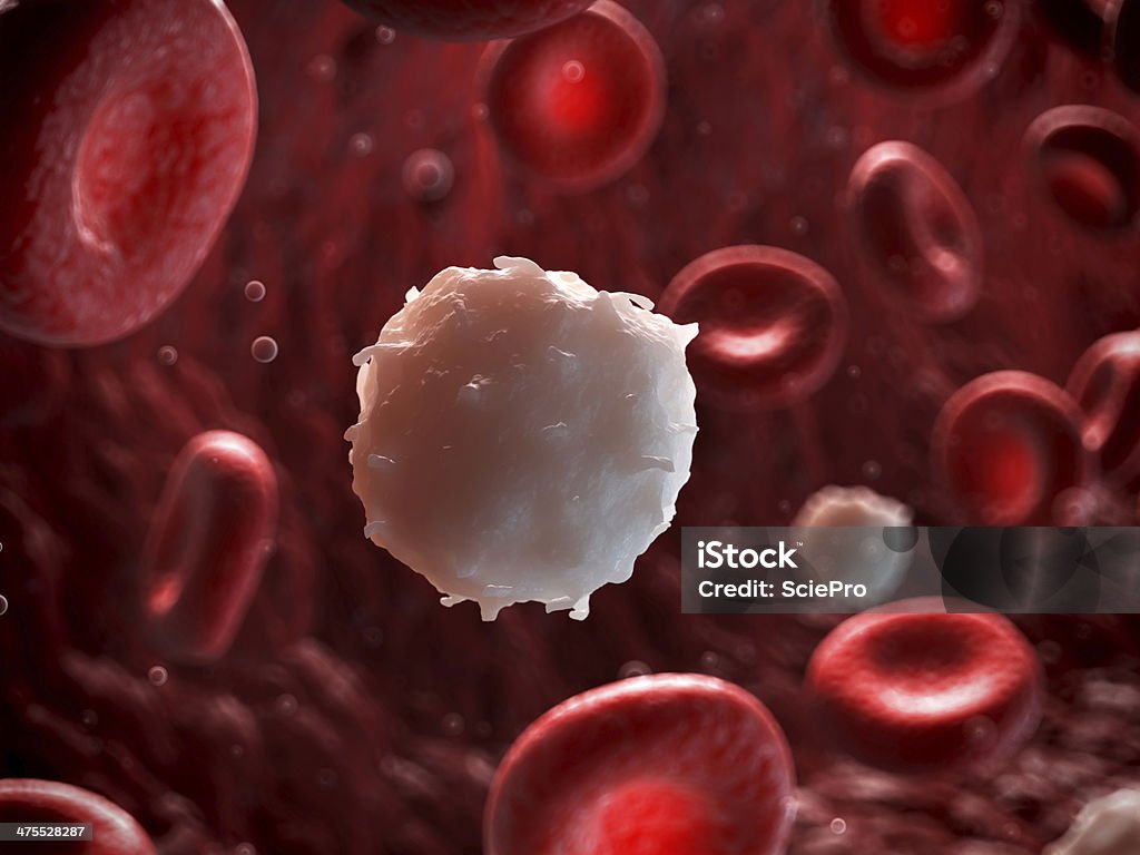 white blood cell 3d rendered illustration of a white blood cell Blood Stock Photo