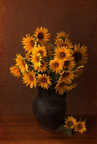 istock Beautiful Sunflowers in old clay pot. 475528799