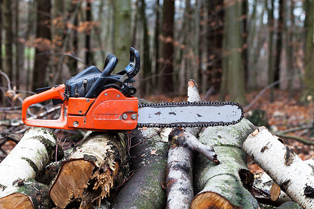 istock Chainsaw in the forest on a woodpile 475529980