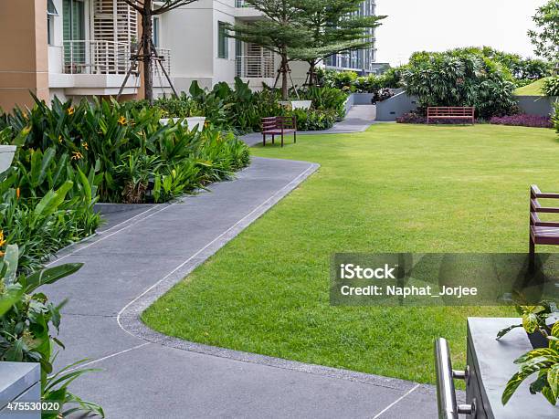 Modern Rooftop Garden With Pathway Stock Photo - Download Image Now - Apartment, Yard - Grounds, Courtyard