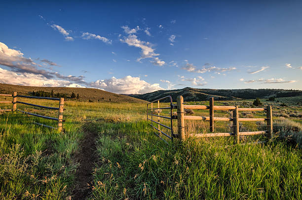 porta aperta nei campi - montana summer usa color image foto e immagini stock