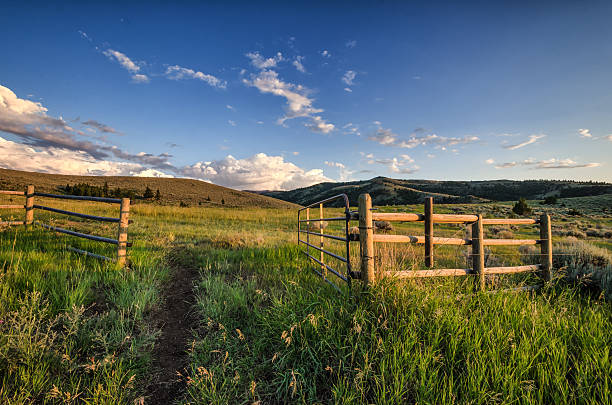 abrir portão nos campos - dusk blue montana landscape imagens e fotografias de stock