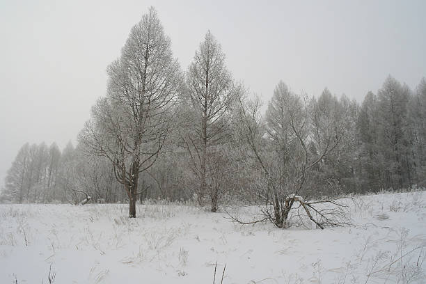 istock Winter foggy landscape 475535037