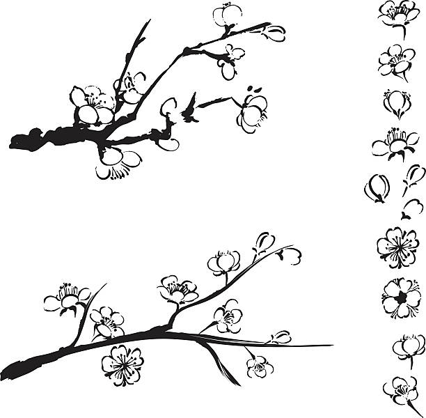 ilustrações, clipart, desenhos animados e ícones de flor de ameixa - asian culture pattern chinese culture backgrounds