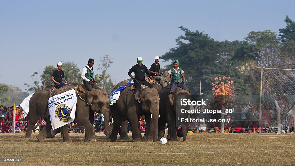 Match de Football-Fête des éléphants, de Chitwan 2013, Népal - Photo de 2013 libre de droits