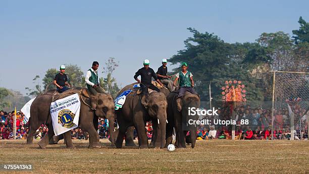 Photo libre de droit de Match De Footballfête Des Éléphants De Chitwan 2013 Népal banque d'images et plus d'images libres de droit de 2013