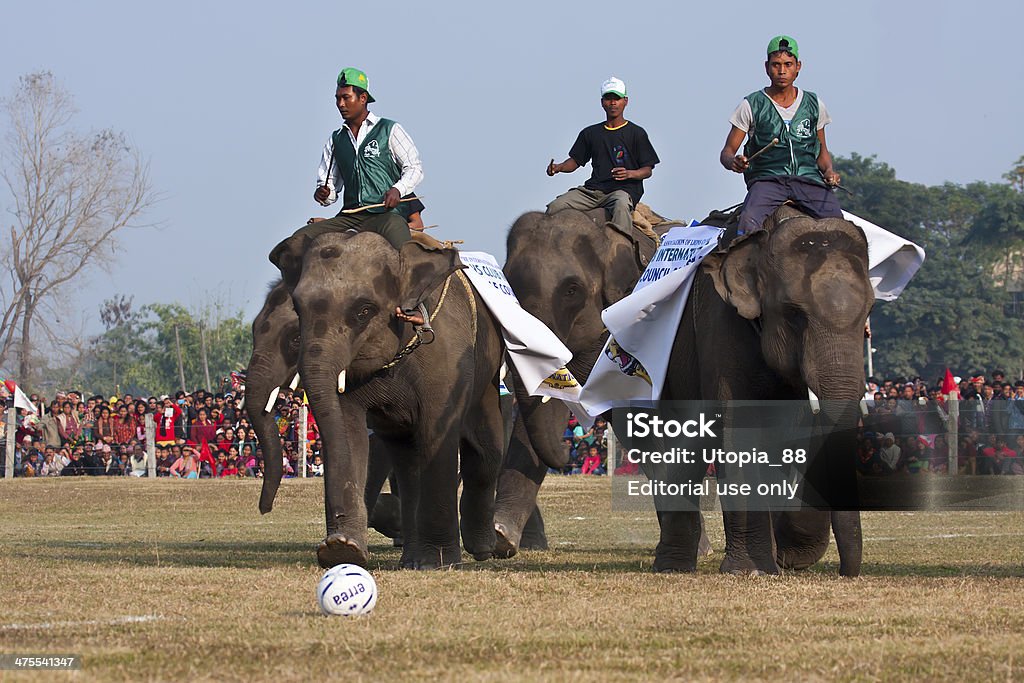 Juego de fútbol americano-festival de los elefantes, Chitwan 2013, Nepal - Foto de stock de 2013 libre de derechos