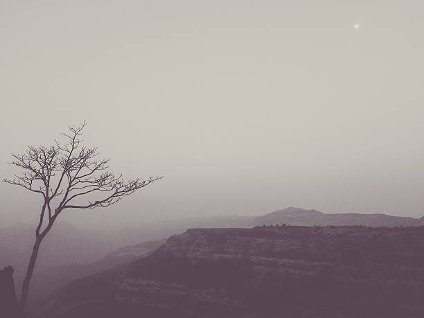 An Abstract, toned Image of a tree overlooking the mountains and moon