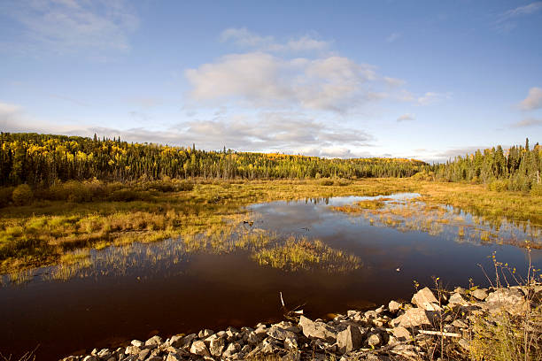 노던 미초아칸 근처의 톰프슨 in 추절 - manitoba north lake canada 뉴스 사진 이미지