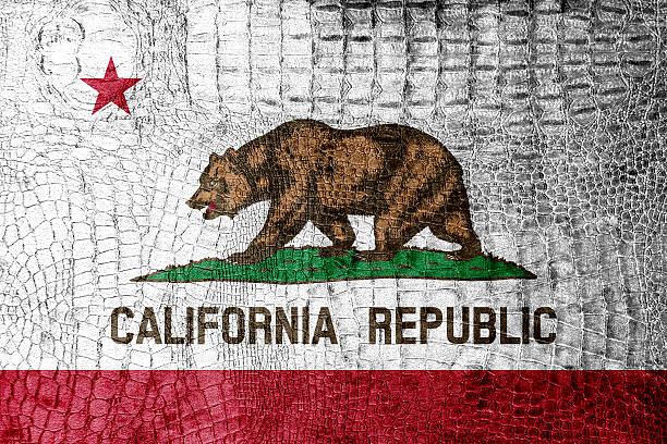 istock California State Flag painted on luxury crocodile texture 475546061