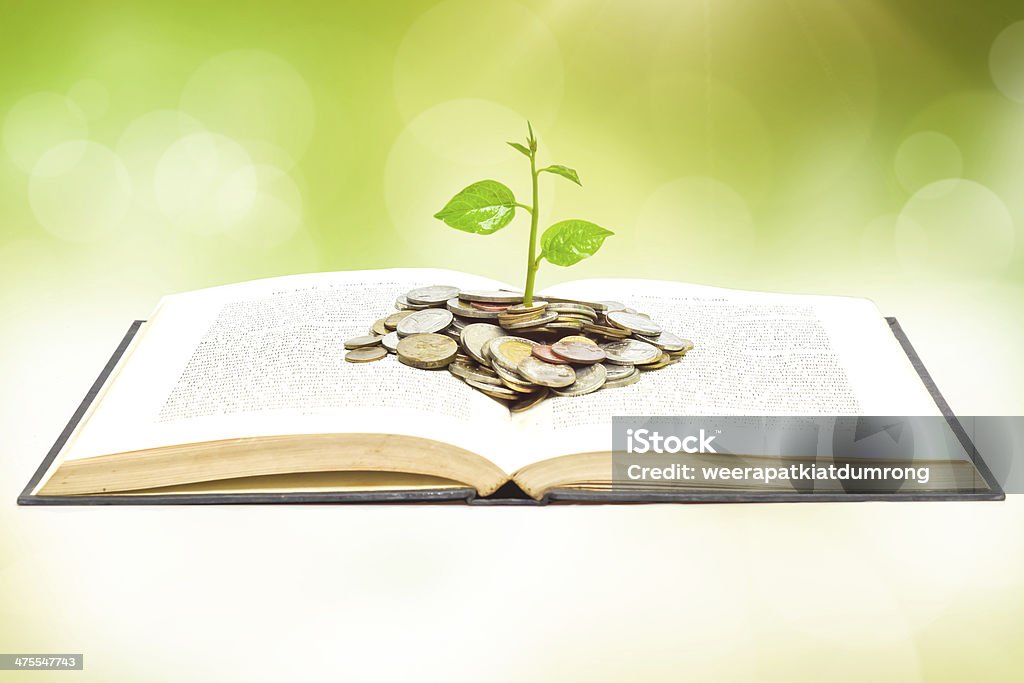 tree growing from book with coins tree growing from book with coins / A big open book with coins and tree. "Reading makes you richer" concept. Investment Stock Photo