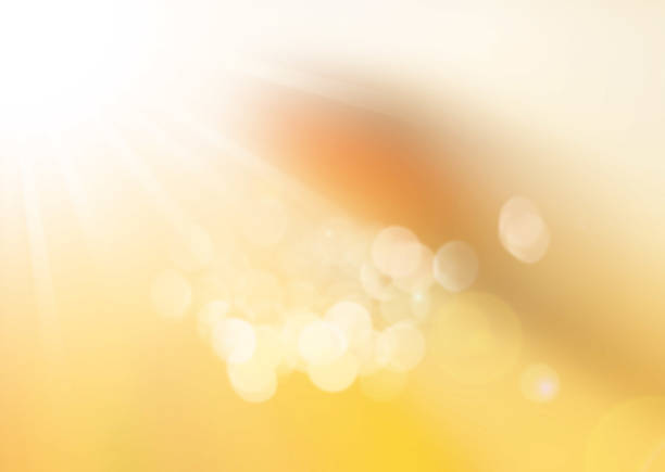 istock Autumn nature sunset,abstract blur background for web design 475551466