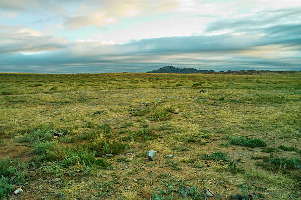 Photo of a landscape in the Gobi Desert in Mongolia. Film and grain simulation on processing.