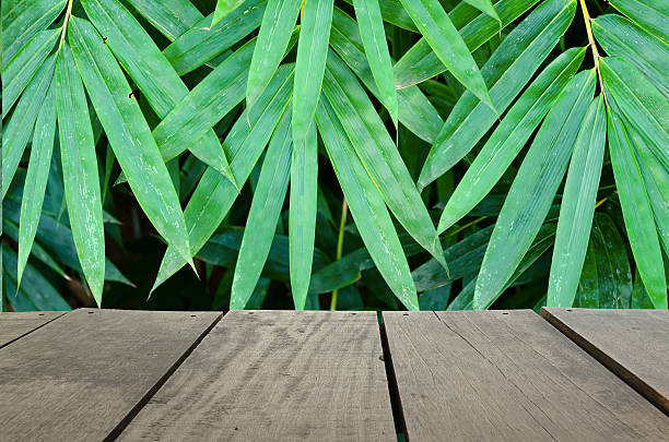 istock Perspective terrace wood and bamboo leave for background usage 475553214