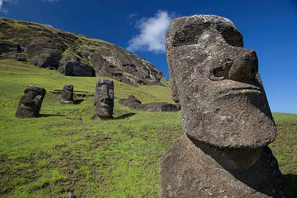 A highly detailed image of a moai at Rano Raraku, birthplace of the Easter Island moai.  Excellent lighting and texture.