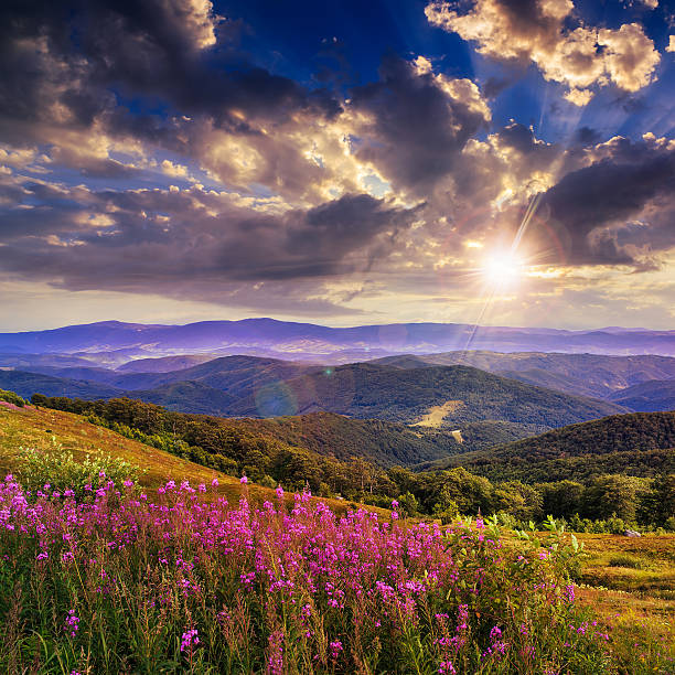 istock light on stone mountain slope with forest at sunset 475554053