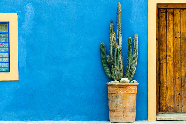 Horizontal image of a green cactus plant in a orange ceramic pot against a blue textured wall on the street in Mexico. This is a minimal style image with lots of copy space on the left side of the cactus plant. We can also see part of a yellow framed window on the left and a old yellow framed wood door on the right.
