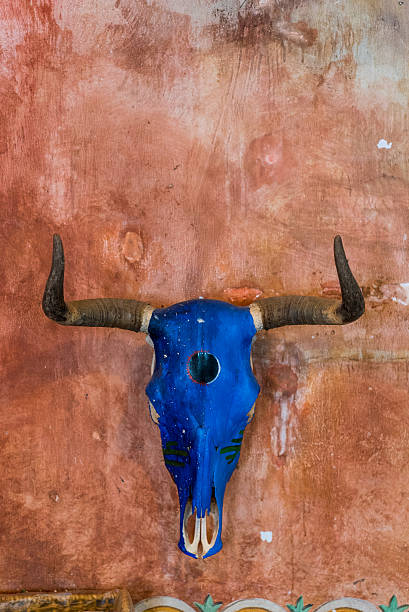 istock Blue Skull of a Bull hung on a textured wall 475570218