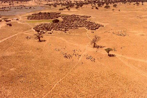 Aerial view dry season Sahelian Settlement Burkina Faso West Africa Aerial view in dry season of ancient Sahelian Settlement village and cattle foraging in fields for dry stubblle for forage and pasture in the northern Sahel of Burkina Faso West Africa sahel stock pictures, royalty-free photos & images