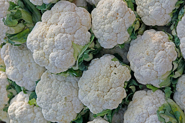 istock Cauliflower, Brassica oleracea var. botrytis 475575257