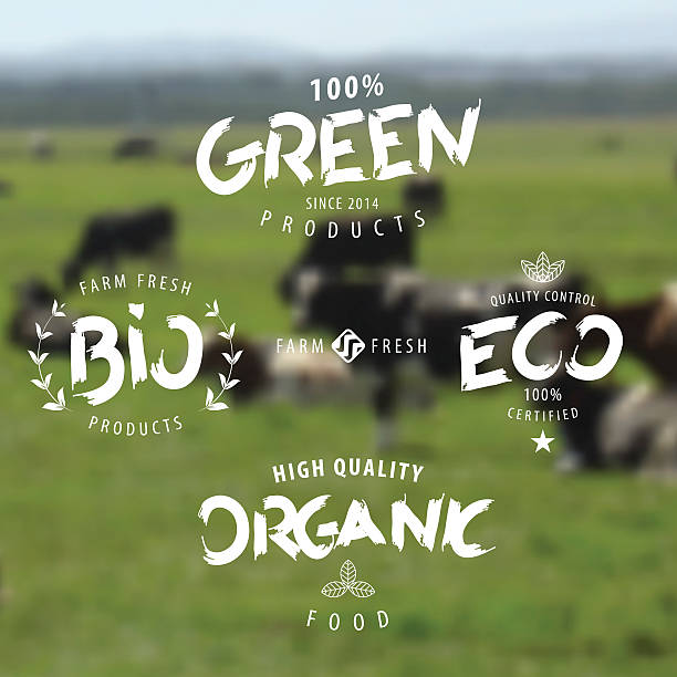 istock Organic, eco, bio, green labels and icons set. 475579156