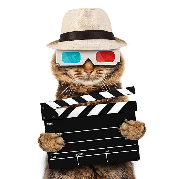 istock movie director cat with a clapperboard 475583086