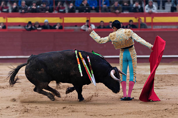 Bullfighter Bullfighter and bull in action. Spain banderilla stock pictures, royalty-free photos & images