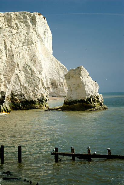 Seaford Chalk Cliffs stock photo