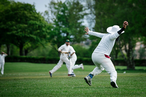 Glasgow, UK - May 23, 2015: A fielder prepares to throw the ball as the batsmen run whilst playing in an amateur local cricket match in Bellahouston Park, Glasgow.