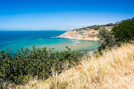 A grassy overlook in Palos Verdes California shows a vibrant coastline, blue water and turquoise water.