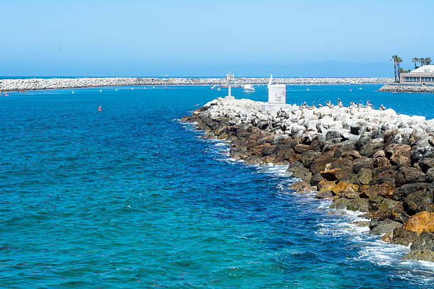 istock Wide view of breakwater 475606286
