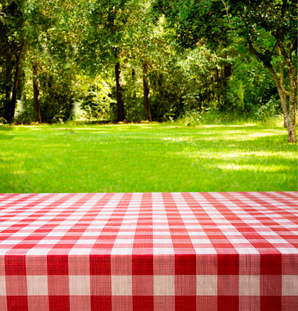Red checked tablecloth on top of an outdoor picnic table in a national park or backyard area.  Sunlight can be seen through the green trees. Beautiful nature scene with many summertime trees and shrubs.  No people.  Summer scenes, picnics, vacations themes.  The empty table makes a perfect space to place your object or copy. 