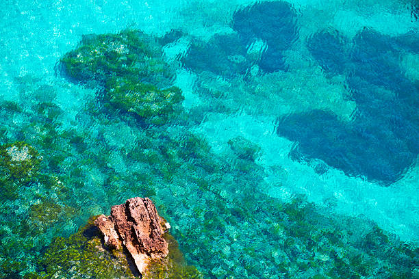 istock Cala Macarella Menorca turquoise Balearic Mediterranean 475607184