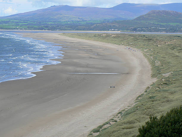 istock Wide deserted coastal beach with low tide and sand dunes 475610624
