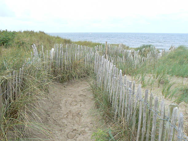 istock Walkway through the sand dunes to the beach 475610634