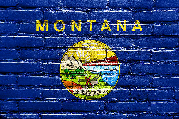 istock Montana State Flag painted on brick wall 475611417