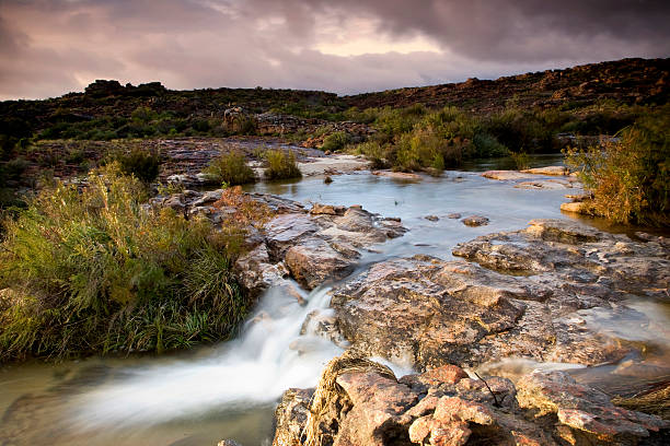 Cederberg Mountain Stream A peaceful stream at dusk in the Cederberg mountain range, Western Cape, South Africa cederberg mountains photos stock pictures, royalty-free photos & images