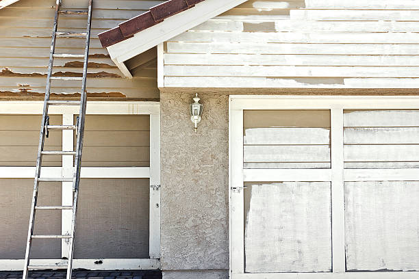 Ladder used to help paint the front view of a home.
