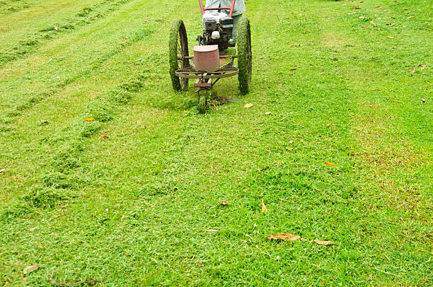 istock The lawn mower Gardening 475614360